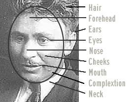 image of man's face drawing attention to look at hair, forehead, ears, eyes, nose, cheeks, mouth, complexion and neck