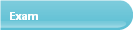 Nav 7 Exam Button